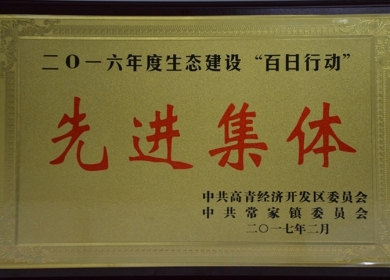 2016年“高青县生态建设百日.jpg